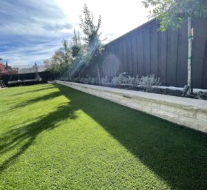 Turf by Buildometry in North Texas