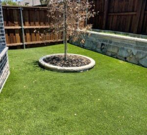 Turf by Buildometry in North Texas