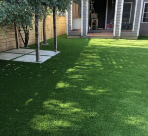 Turf by Buildometry in North Texas