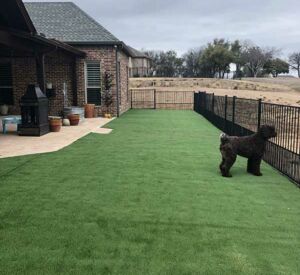 Turf by Buildometry in North Texas